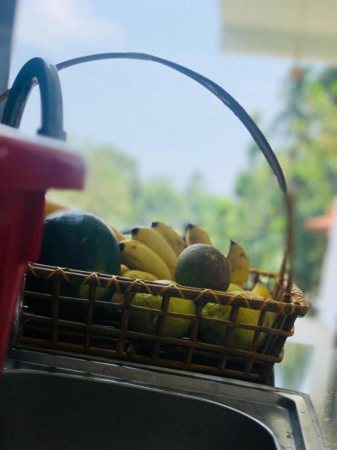 Finch Tangalle Dış mekan fotoğraf