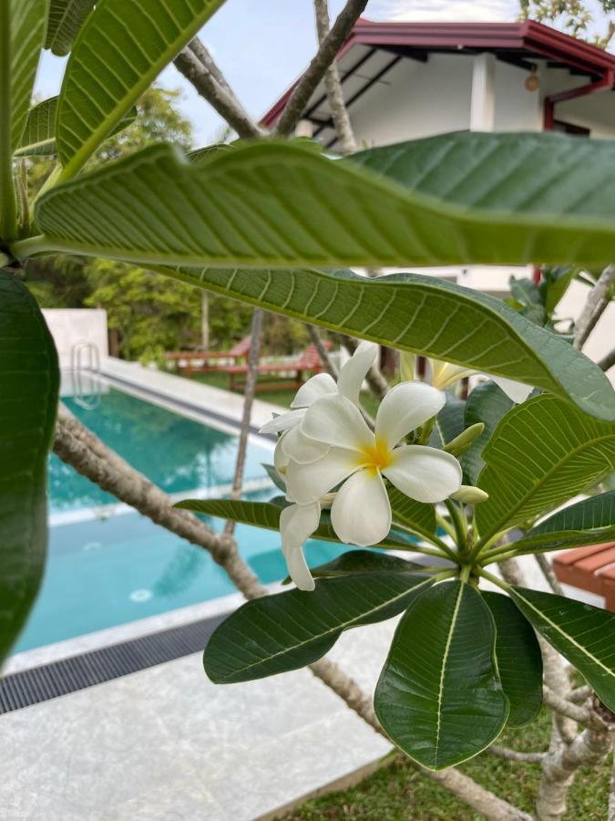 Finch Tangalle Dış mekan fotoğraf