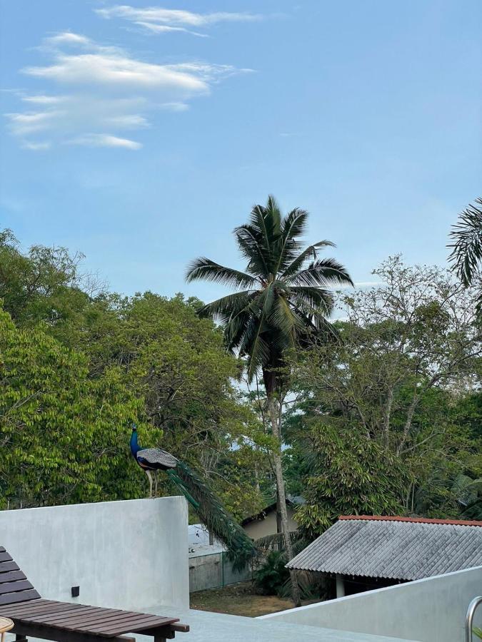 Finch Tangalle Dış mekan fotoğraf