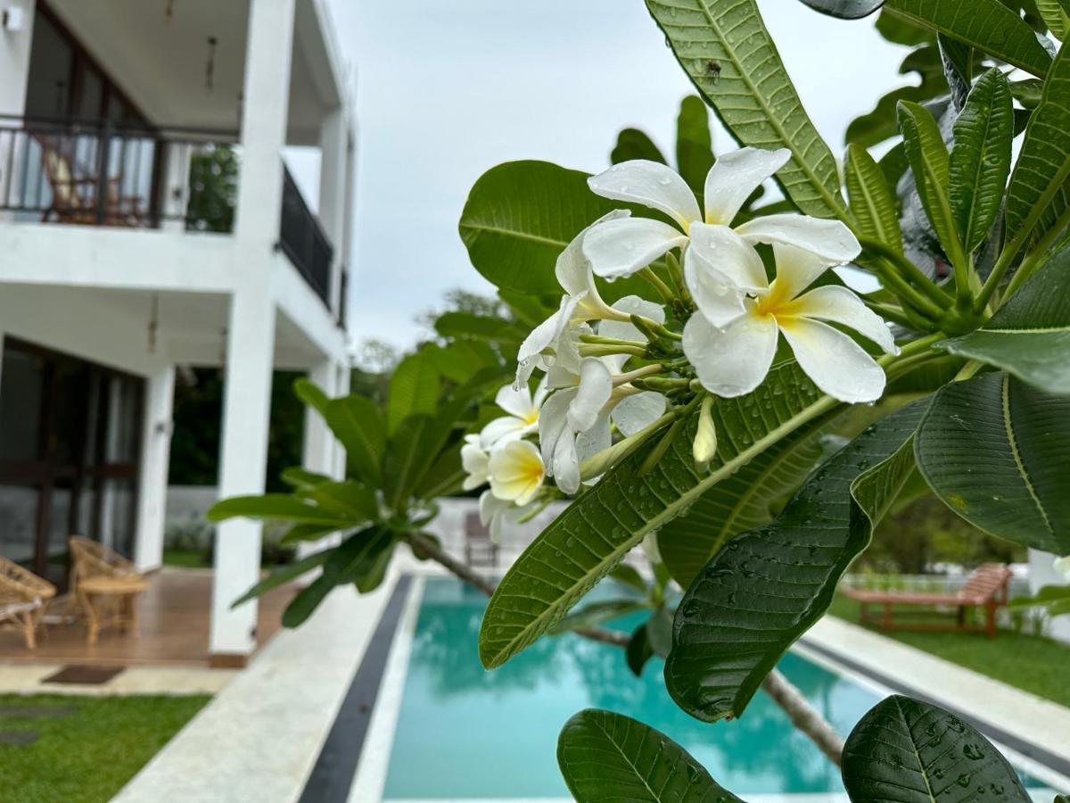 Finch Tangalle Dış mekan fotoğraf