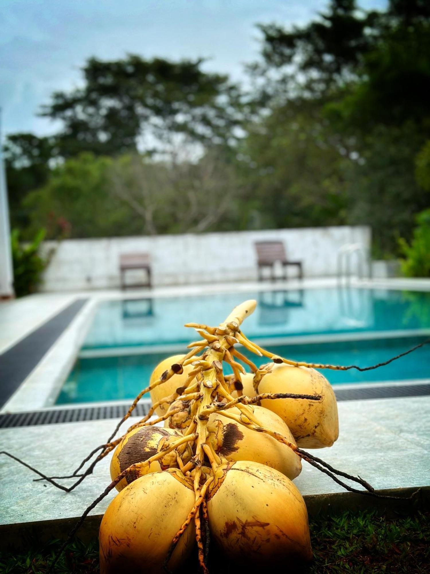 Finch Tangalle Dış mekan fotoğraf